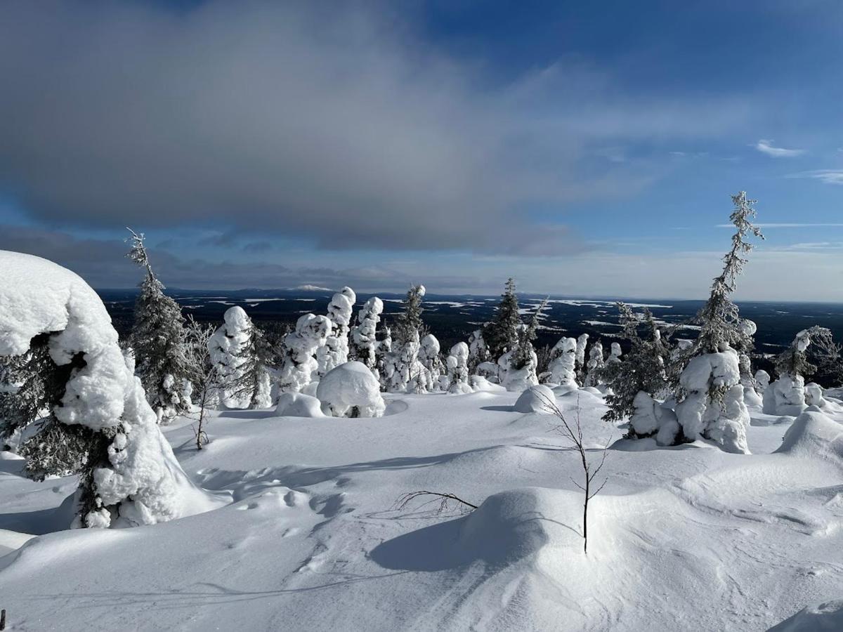 Apt 37 Rovaniemi Esterno foto